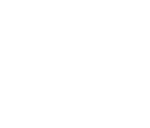 SAEP Logo